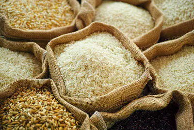 Rice
